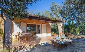 Apartment L'Olivastre By Interhome